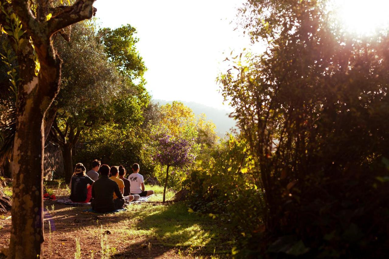 Farm stay A Saboeira - Belver (Gaviao)