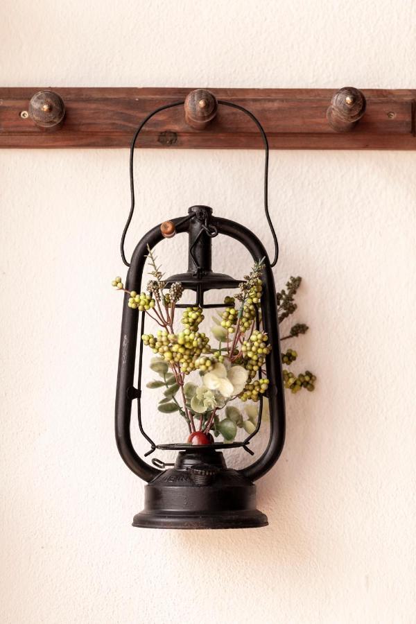 Farm stay A Saboeira - Belver (Gaviao)