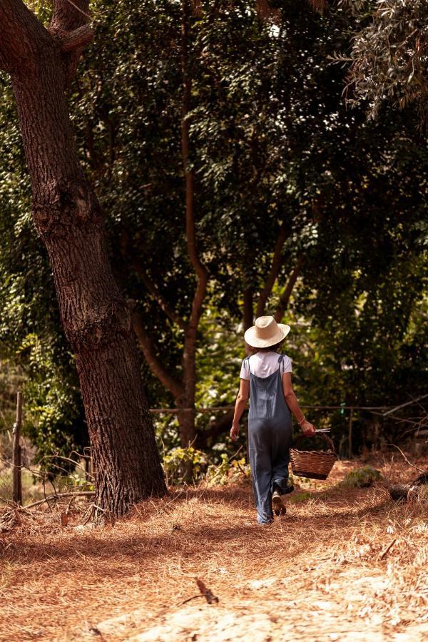 A Saboeira -