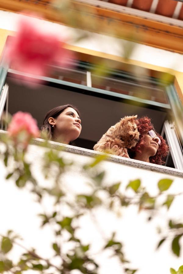 Farm stay A Saboeira - Belver (Gaviao)