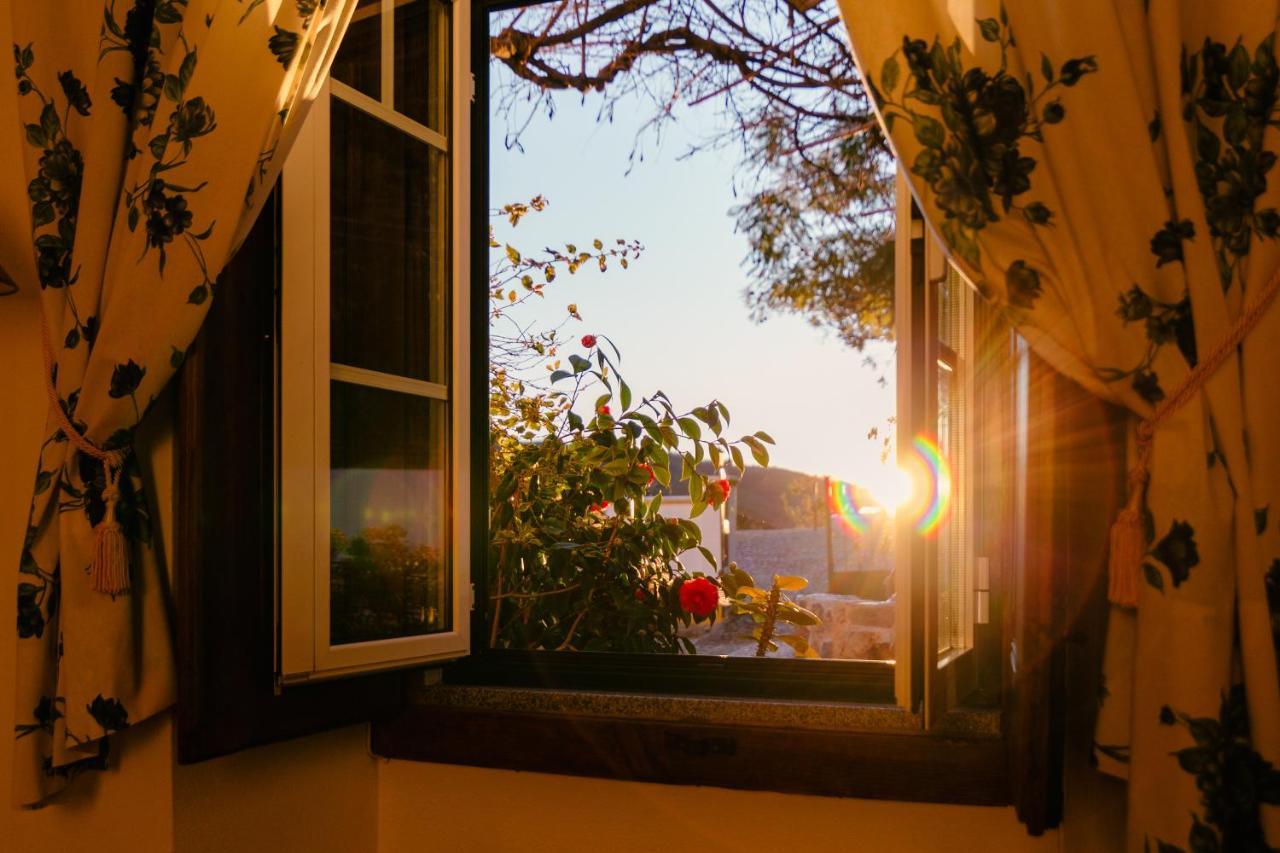 A Saboeira - Farm stay Belver (Gaviao)
