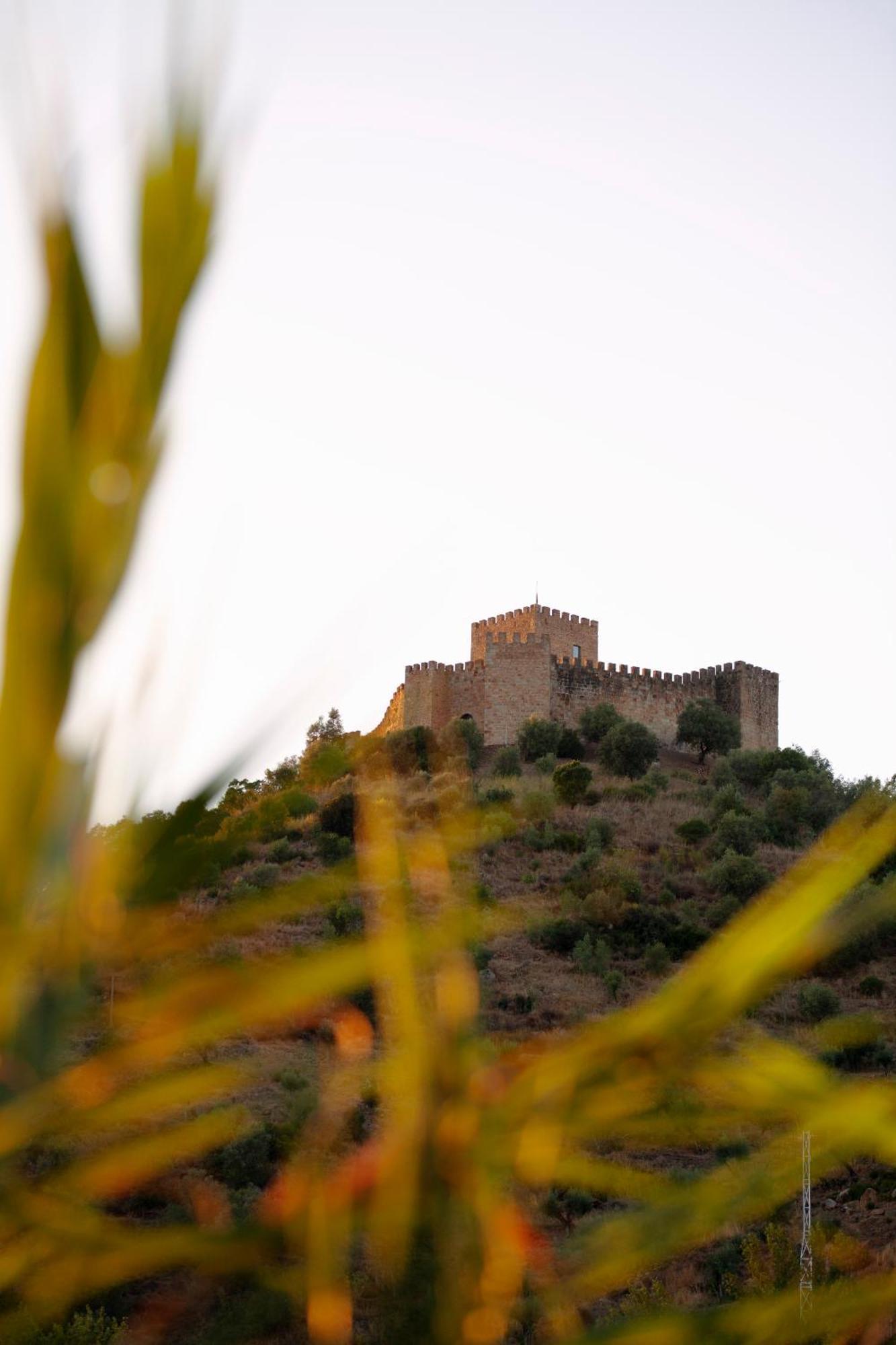 Farm stay A Saboeira -