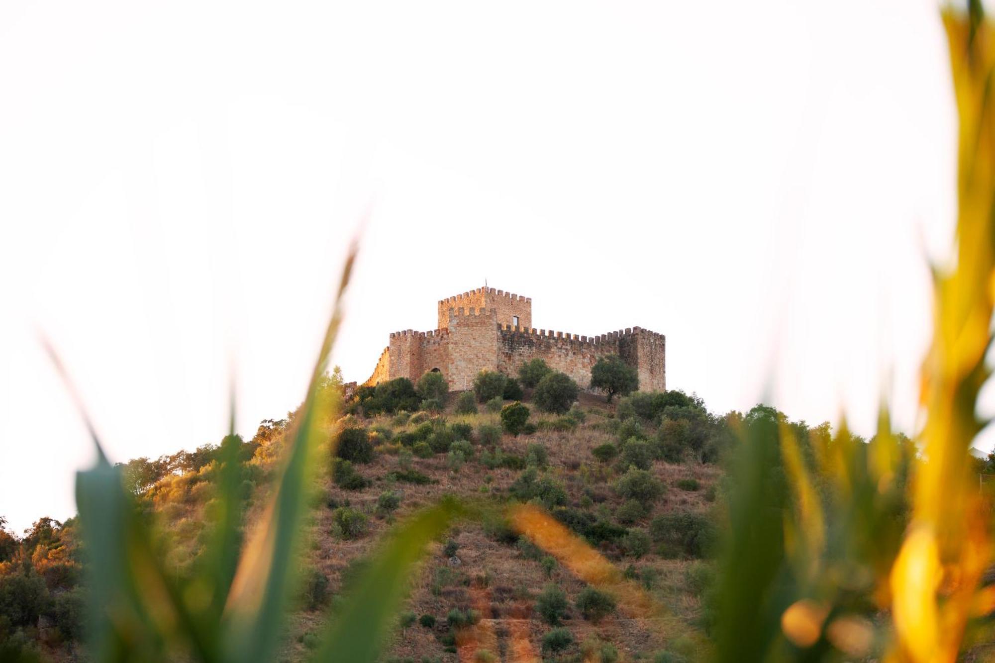 Farm stay A Saboeira - Belver (Gaviao)